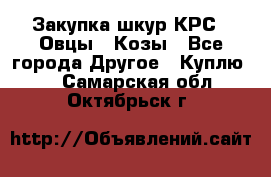 Закупка шкур КРС , Овцы , Козы - Все города Другое » Куплю   . Самарская обл.,Октябрьск г.